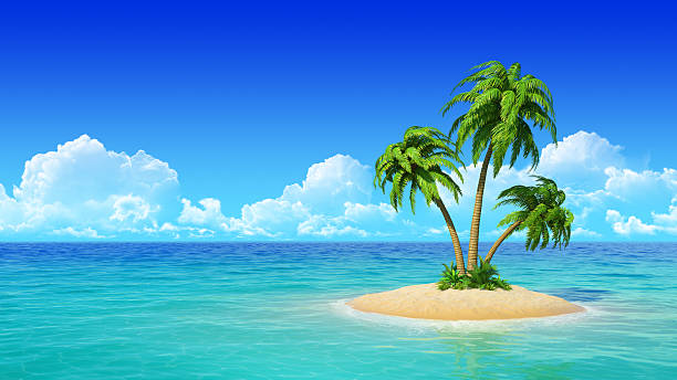 Washed Up Holdings Ltd.